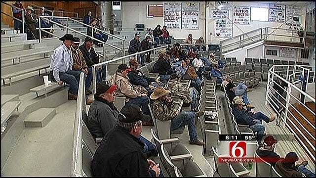 Oklahoma Sale Barns Setting Record Prices For Cattle