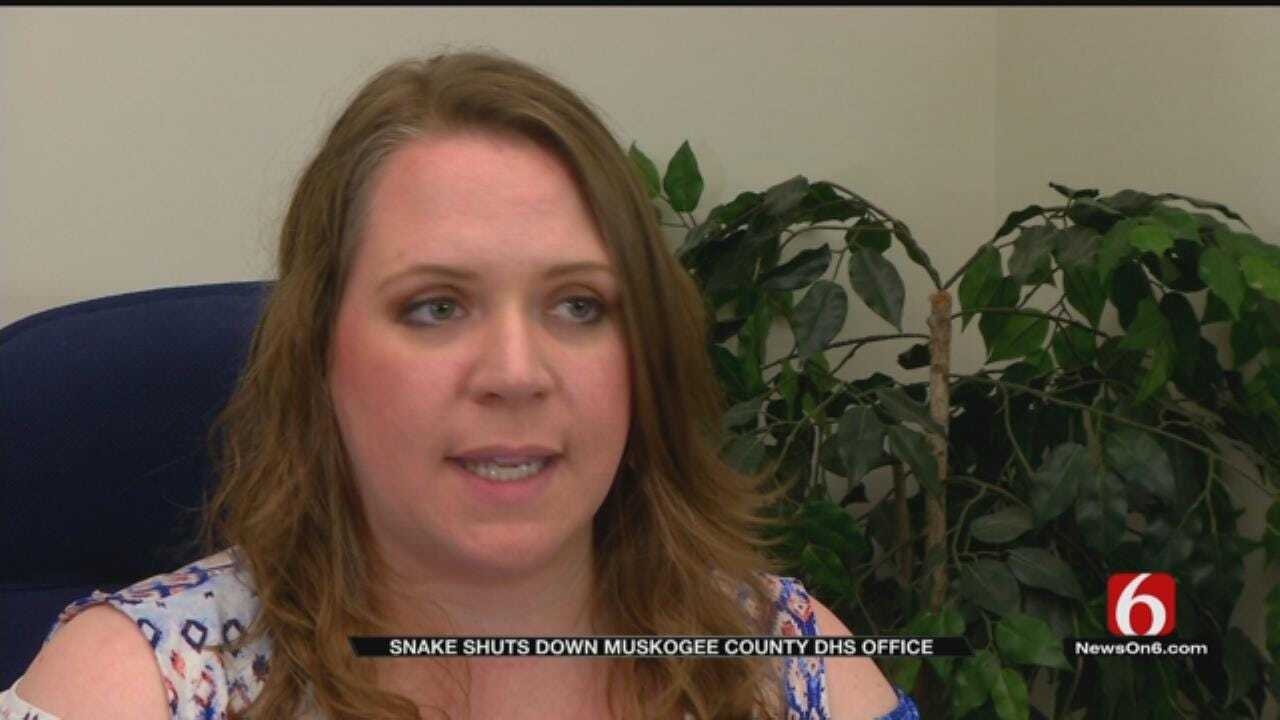 Muskogee DHS Offices Close After Snake Found, Wrong Repellents Used