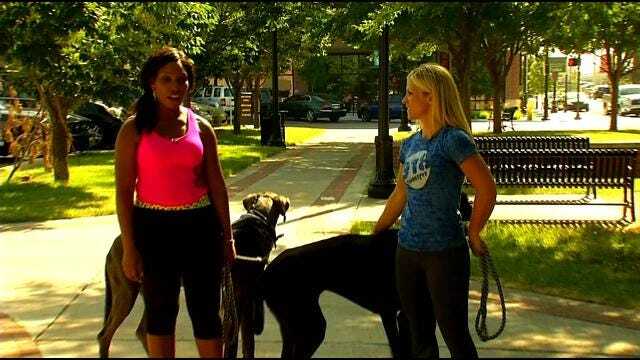 Exercise Expert: Man's Best Friend Makes Great Workout Buddy