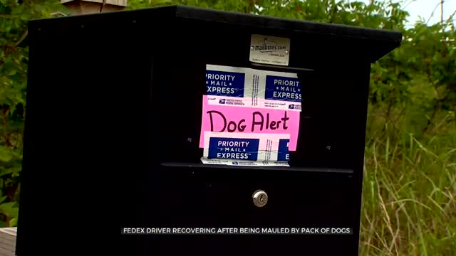 FedEx Driver Recovering After Being Mauled By Pack Of Dogs