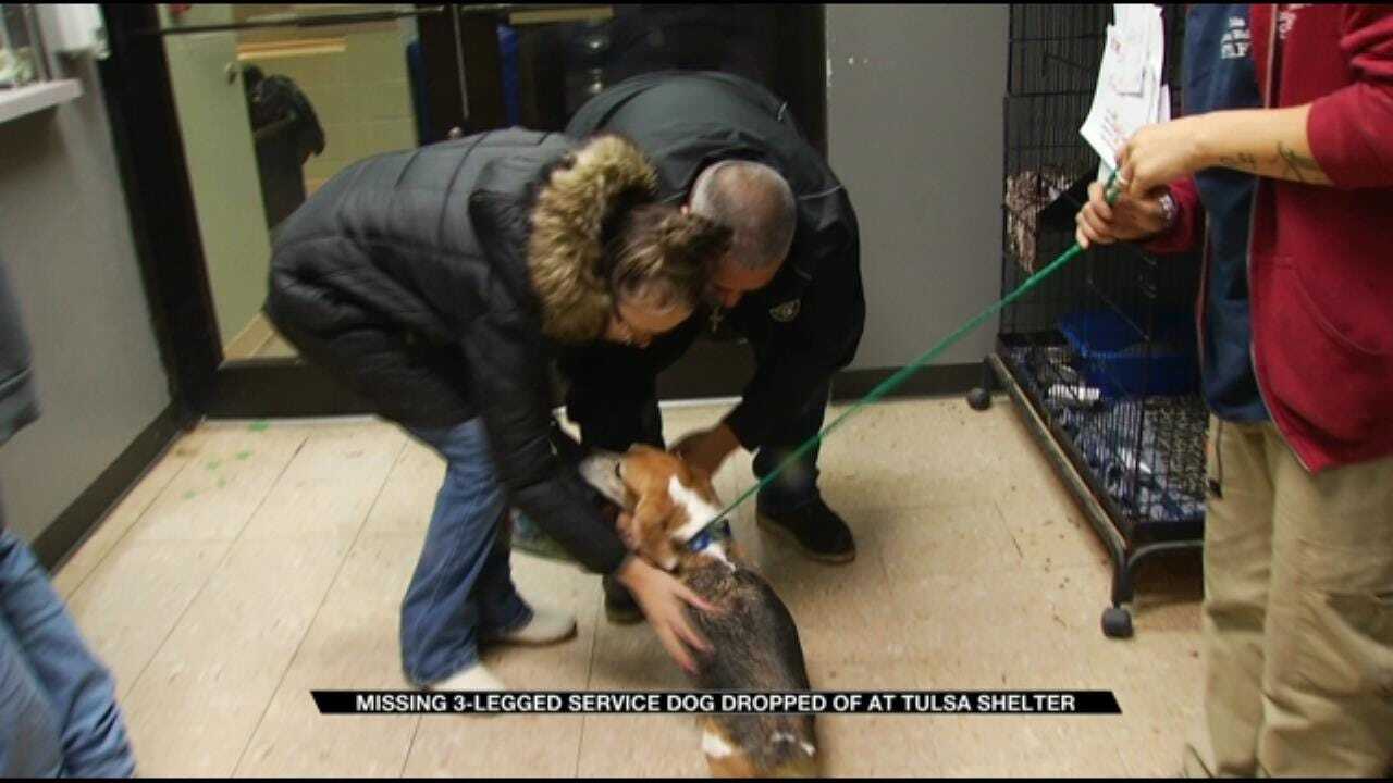 Jenks Family Reunited With 3-Legged Support Dog Tripod