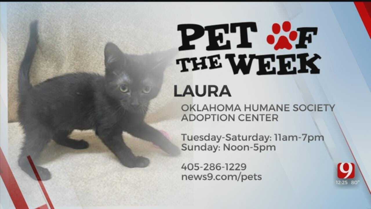 Pet of the Week: Laura