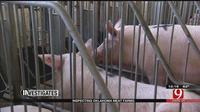 9 Investigates: Inspecting Oklahoma Meat Farms