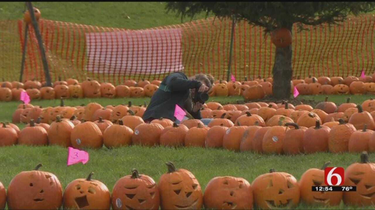 Wisconsin Town Sets World Record With Carved Pumpkins