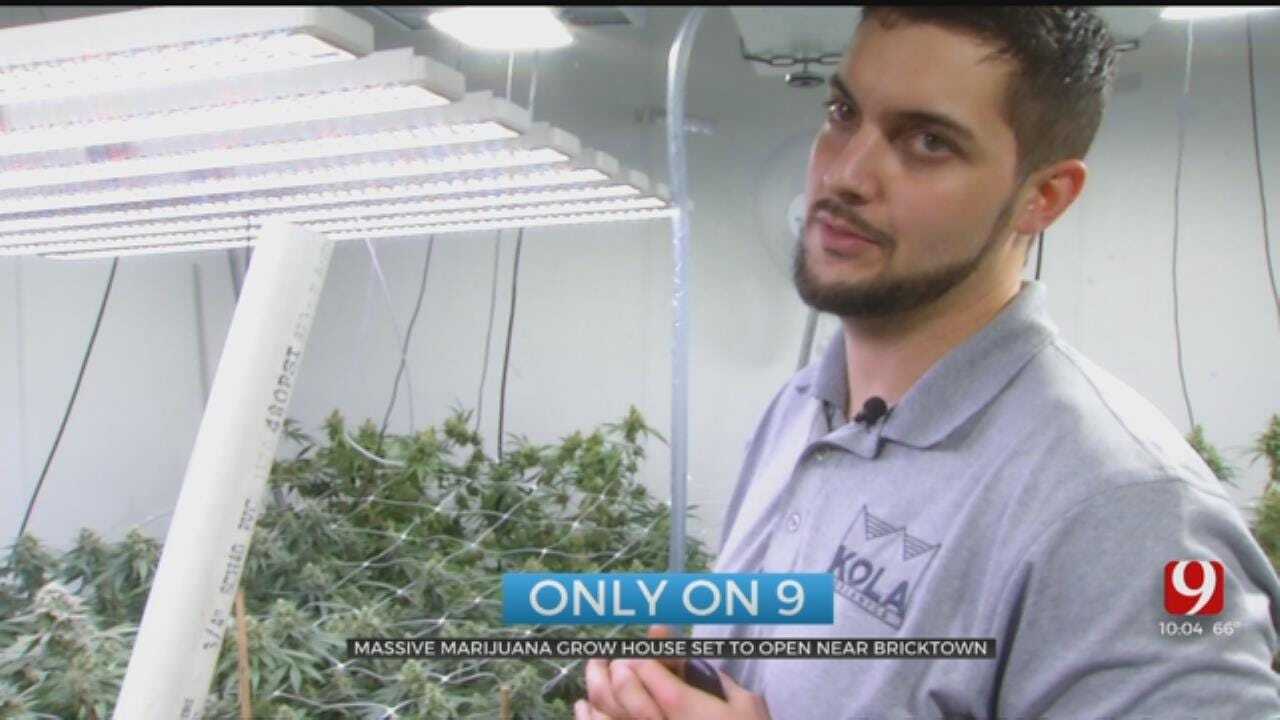 Former NFL Player, Oklahoma Native To Open Large Marijuana Grow In OKC