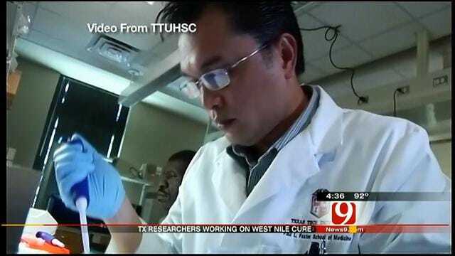 Researchers Working To Find A Cure For West Nile Virus