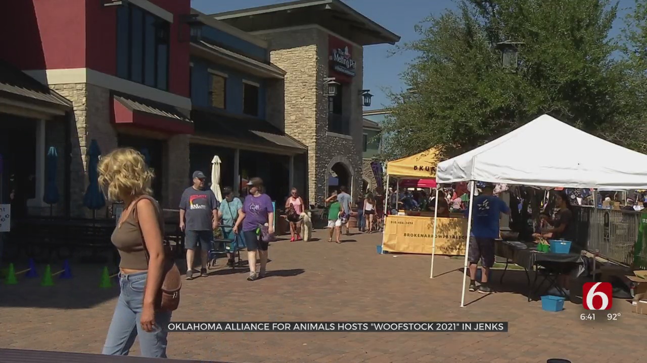 Oklahoma Alliance For Animals Hosts 'Woofstock 2021' In Jenks