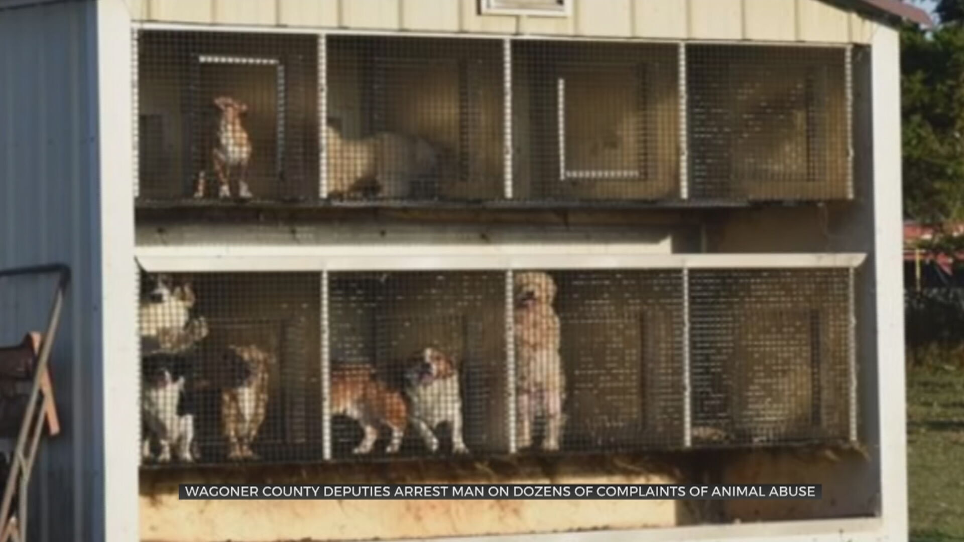 Wagoner County Man Facing 42 Counts Of Animal Cruelty 