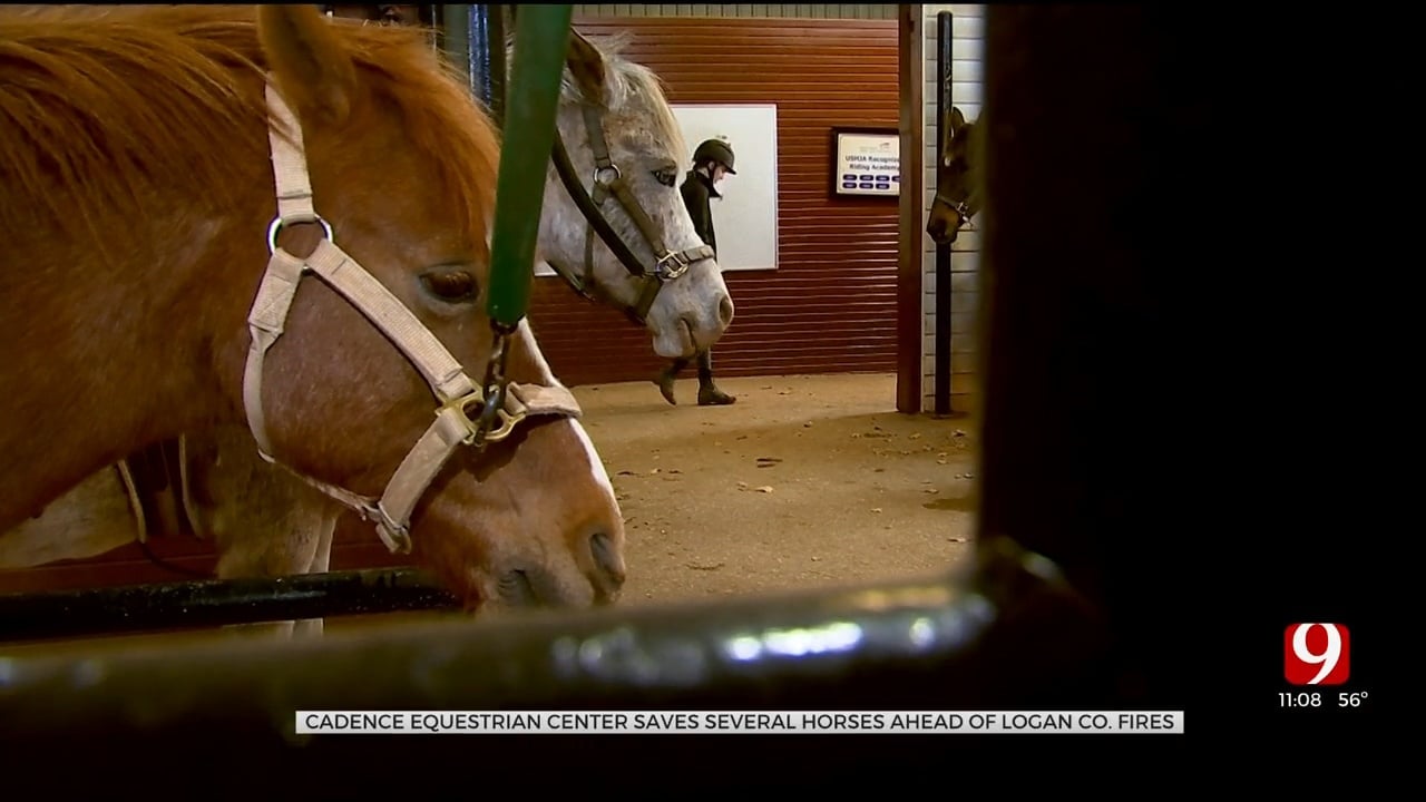 Cadence Equestrian Center Saves Several Horses Ahead Of Logan Co. Fires