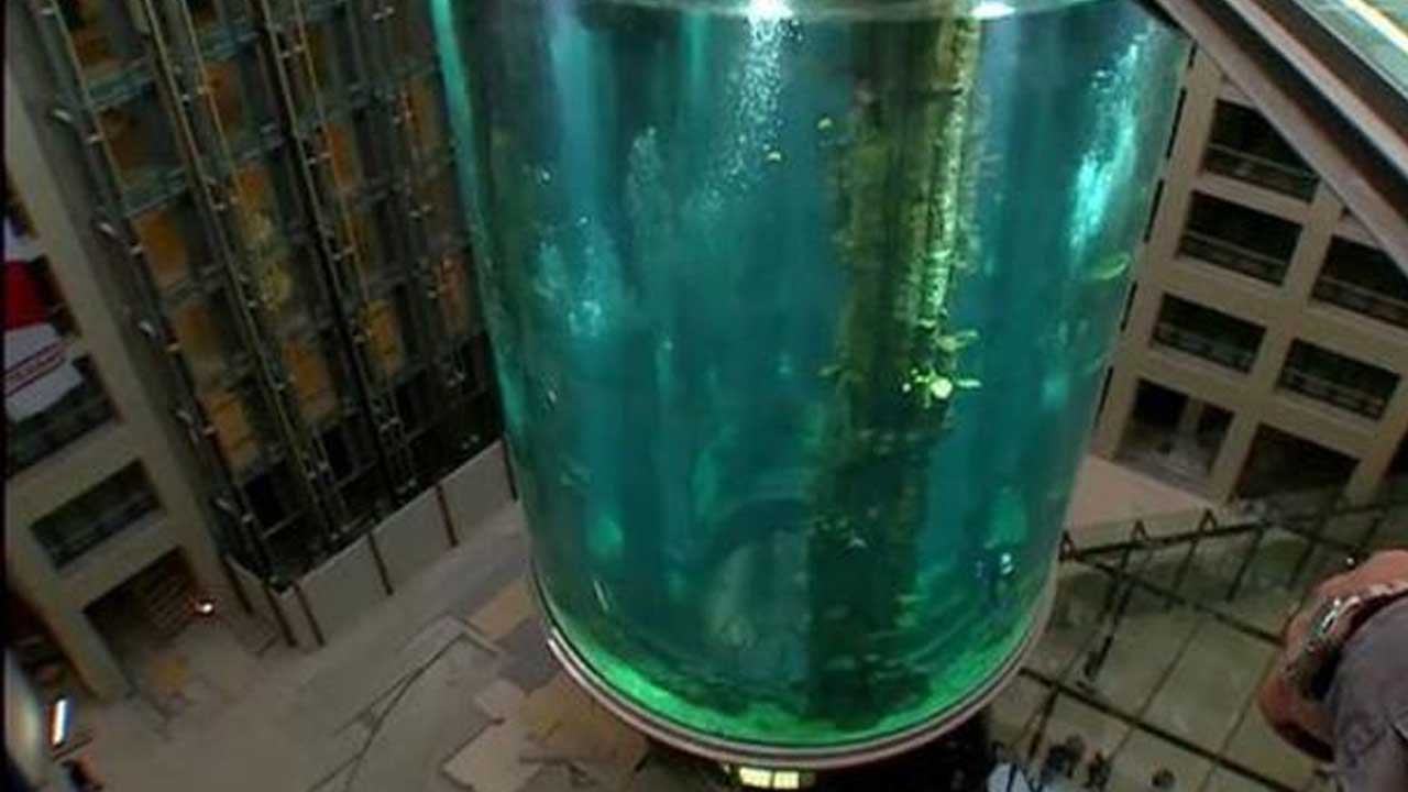Giant Aquarium Housing 1,500 Fish Bursts In Berlin Hotel