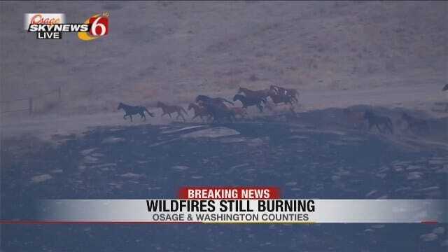 Wild Horses Escape Osage County Grass Fires