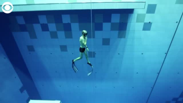 World's Deepest Diving Pool Opens In Poland