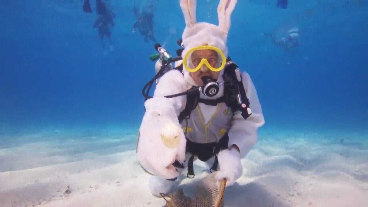 Underwater Easter Egg Hunt In Florida