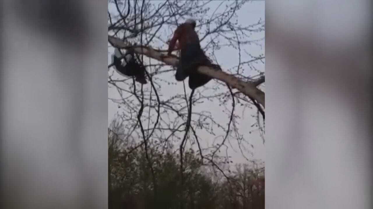 WEB EXTRA: Blue Heron Rescue Caught On Video