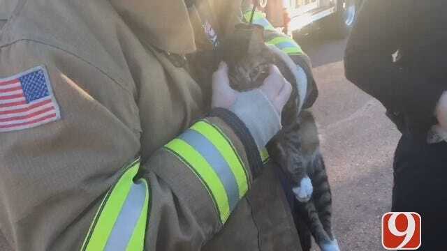WEB EXTRA: MWC Firefighters Bring Cat Back To Life