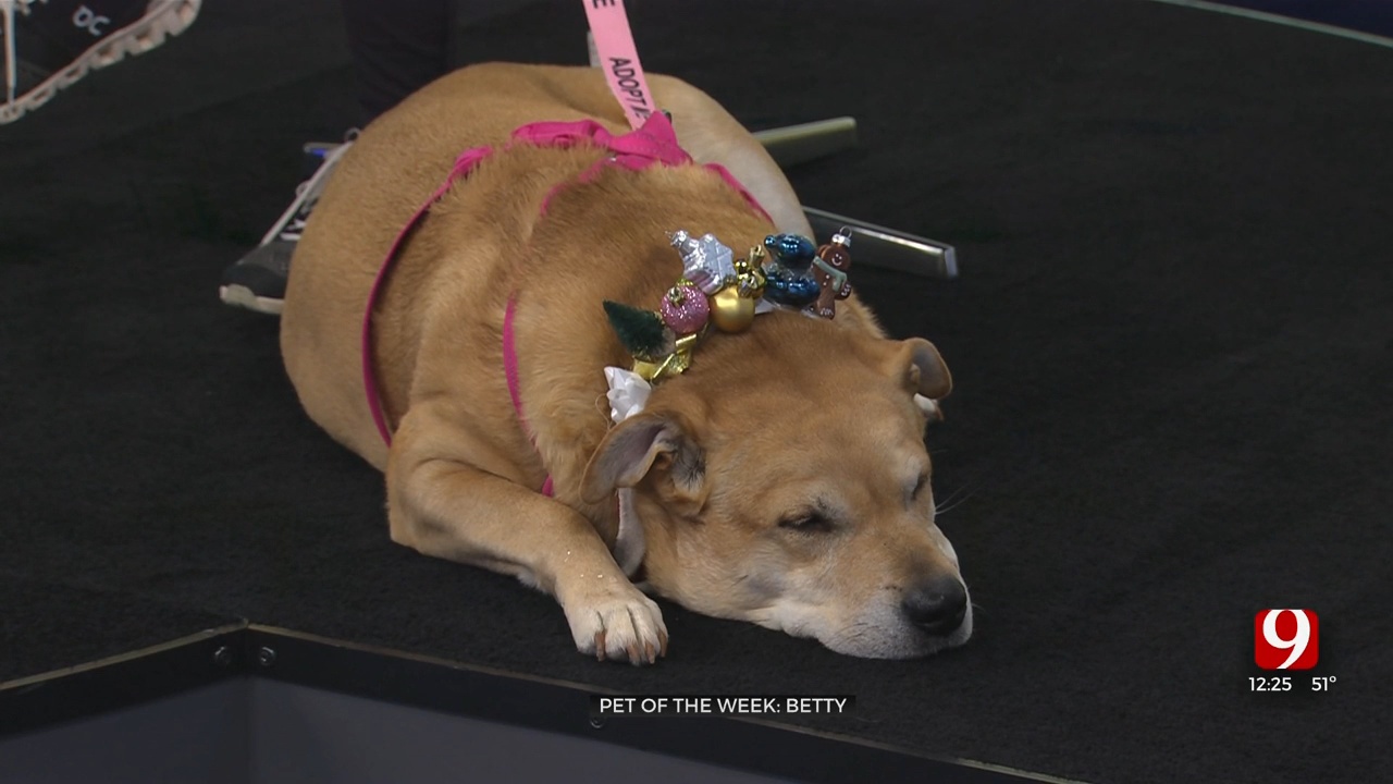 Pet Of The Week: Betty