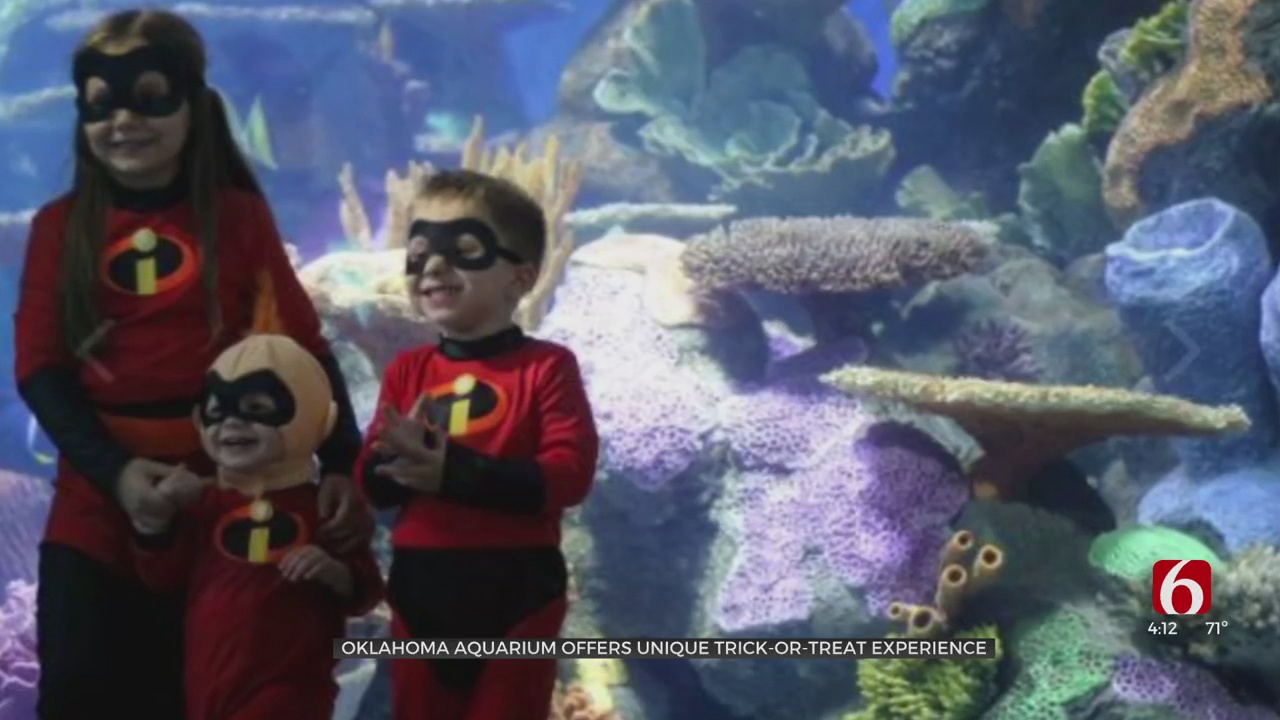 Oklahoma Aquarium Offers Unique Trick-Or Treat Experience 