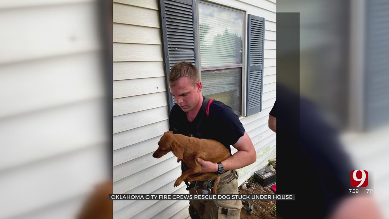 OKC Fire Department Saves Puppy Stuck Under Porch