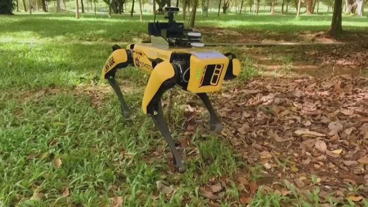 WATCH: Robotic Dog Fights COVID-19