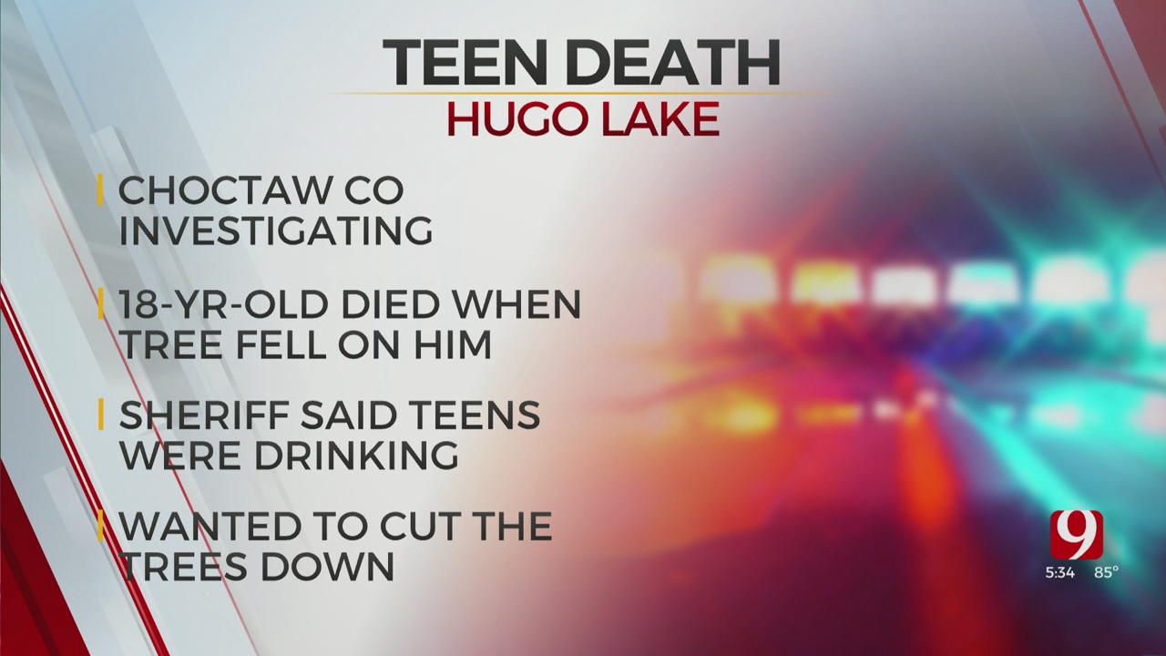 Fallen Tree Kills Teen At Hugo Lake
