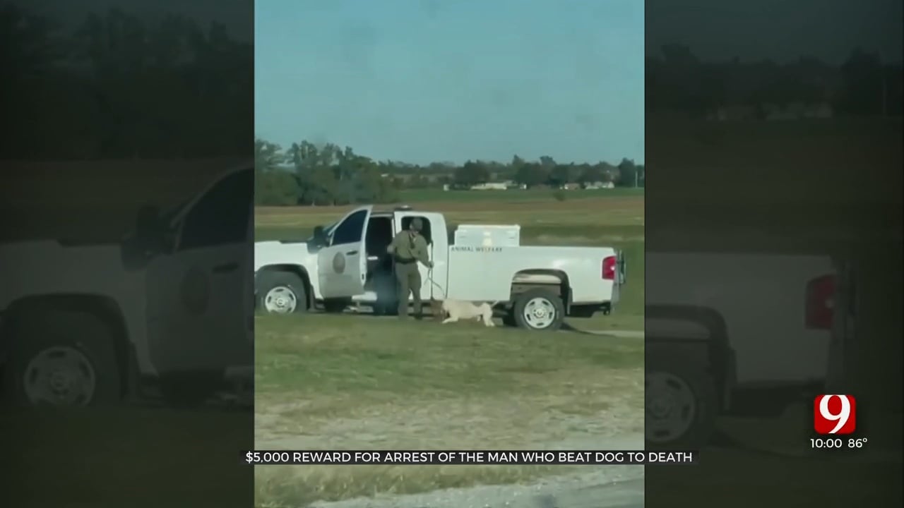 Grady County Deputies Want To Identify Man Seen Beating Dog In Video, Reward Offered  