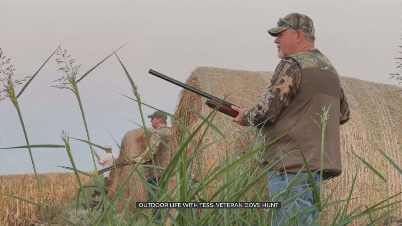 Outdoor Life With Tess Maune: Wounded Veterans Of Oklahoma Dove Hunt Brings Healing, Fellowship To Oklahoma Heroes