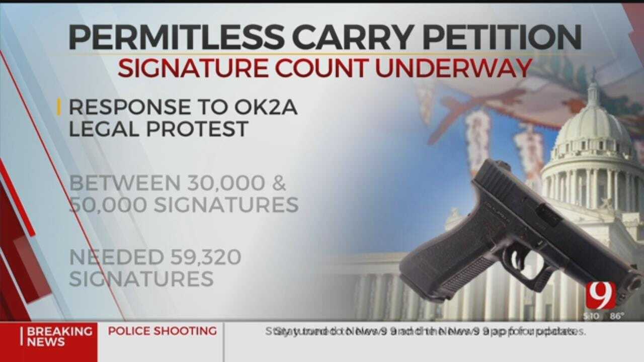 Gun Control Debate Intensifies As Permitless Petition Signatures Are Counted
