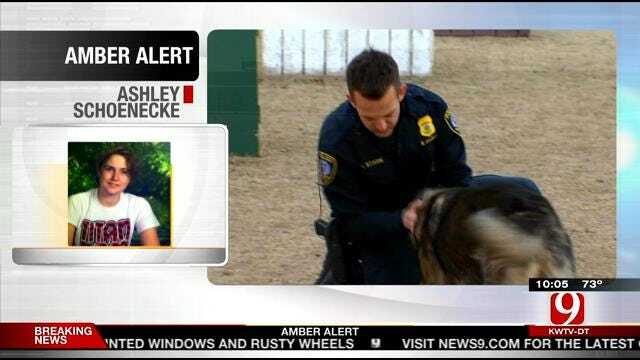 Suspected Truck Thief Throws Punches At OKC Police K9