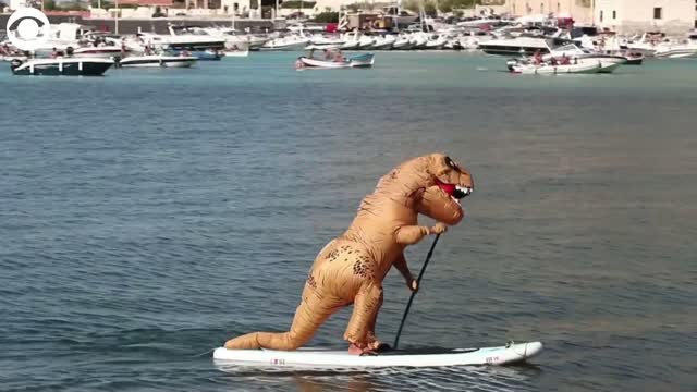 Watch: Dinosaur Paddleboards In Italy