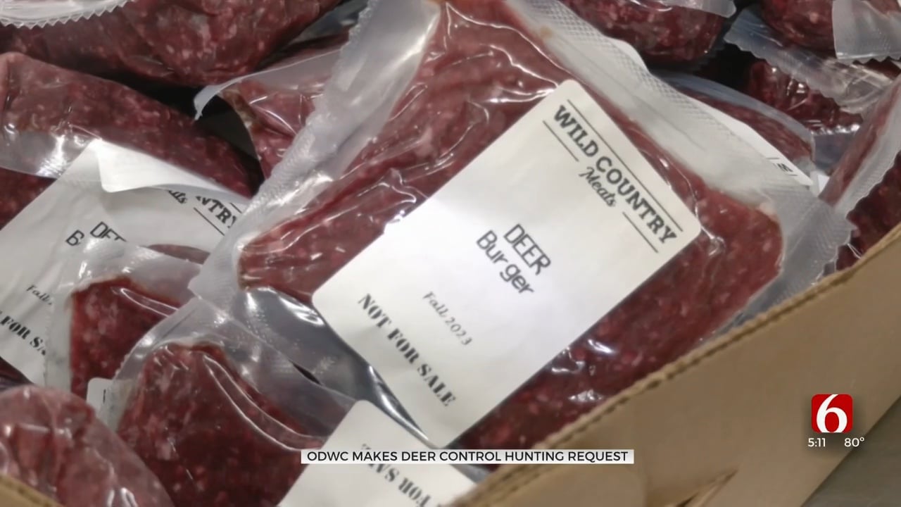 Deer Hunters Encouraged By Officials To Shoot More Doe; Butcher Shops Ask To Donate Unwanted Meat