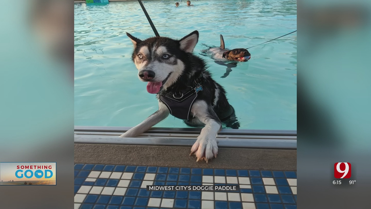 Something Good: Midwest City's Regional Park Doggie Paddle  