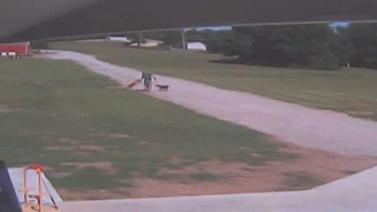 Dog Attack In Creek County Caught On Camera