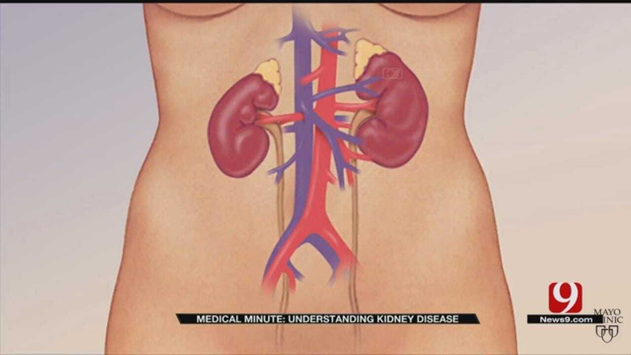 Medical Minute: Kidney Disease