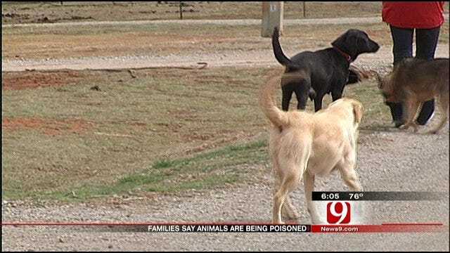 Couple Says Their Neighbor Poisons Animals In Grady County
