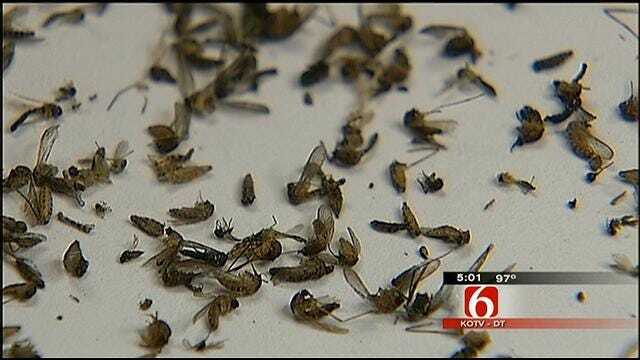 Health Department: New West Nile Cases Found After Rain