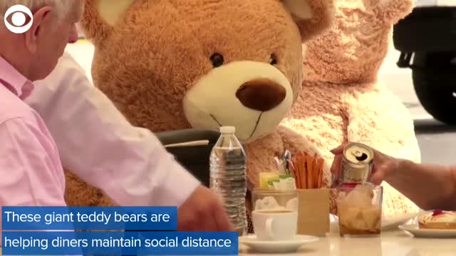 WATCH: Teddy Bears Help Diners Practice Social Distancing