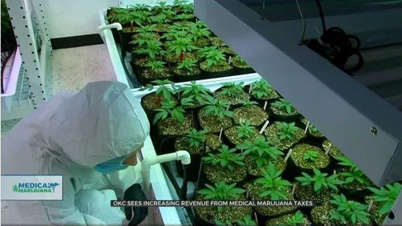OKC Sees Increasing Revenue From Medical Marijuana Taxes