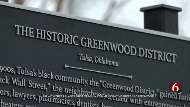 Tulsa Organization To Plant 'Tree Of Triumph' In Greenwood
