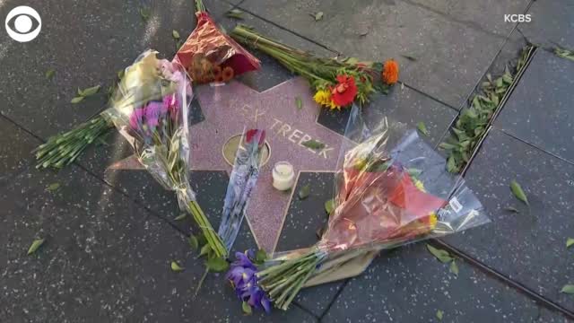 People Visit Alex Trebek's Hollywood Walk Of Fame Star