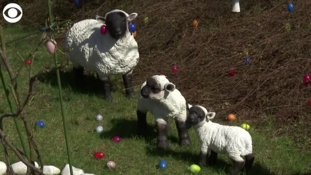 Watch: Berlin Neighborhood Prepares For Easter