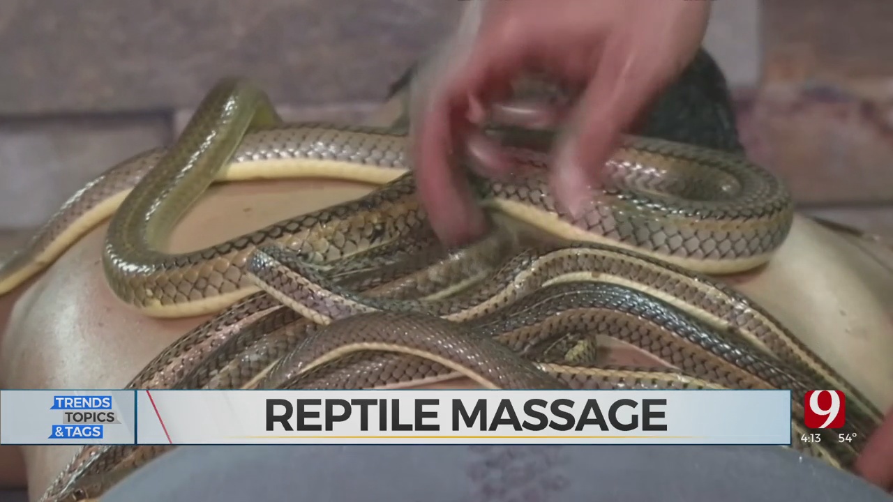 Trends, Topics & Tags: Snake Massage?