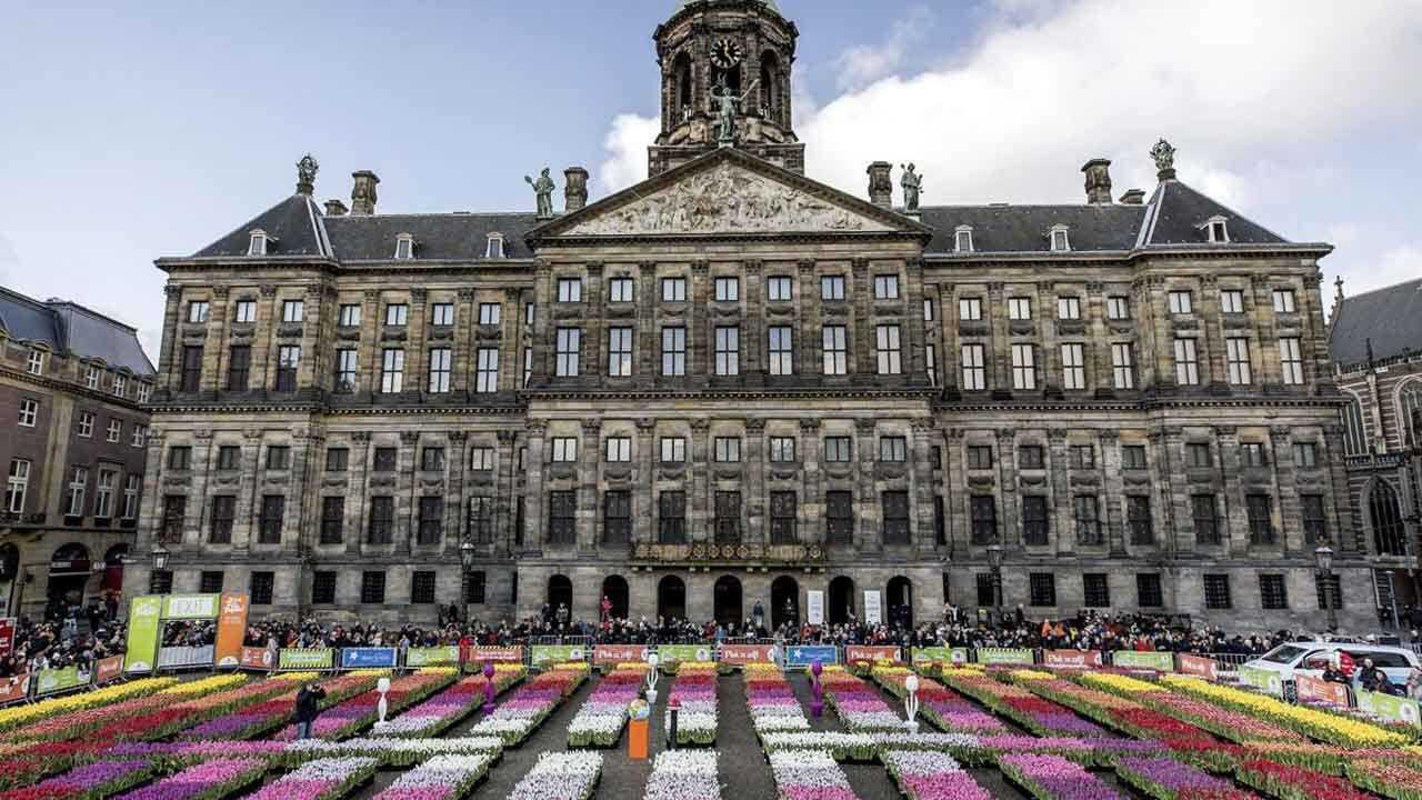 WATCH: Vibrant Tulips Cover The Streets Of Amsterdam On National Tulip Day