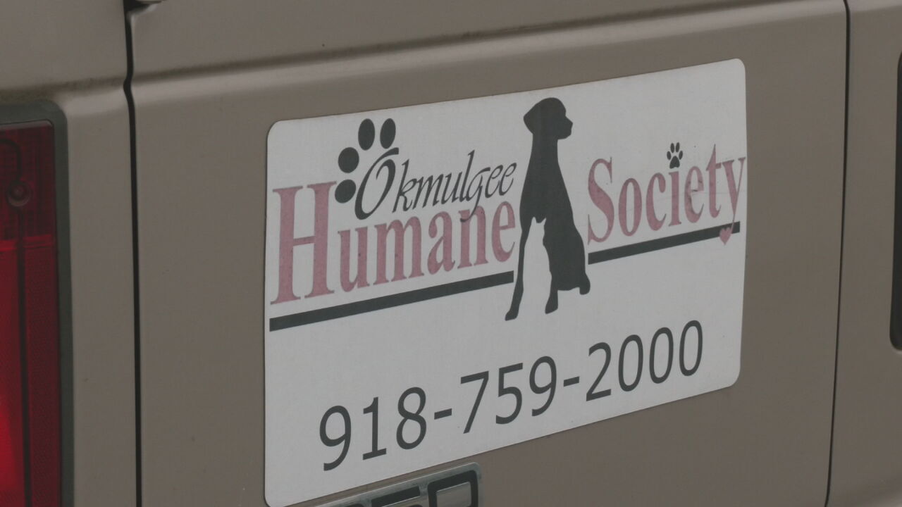 Okmulgee Co. Humane Society To Open New Adoption Center, Care For More Animals