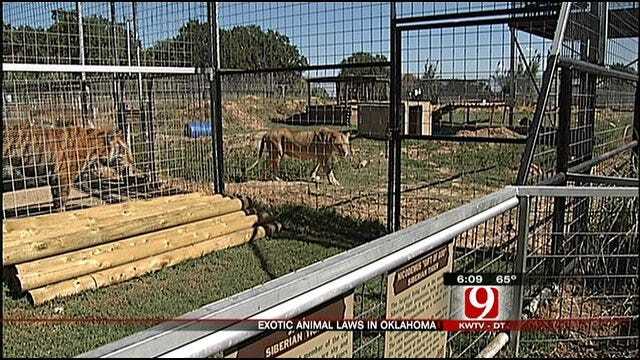Group Calls On Governor To Restrict Wild Animal Ownership