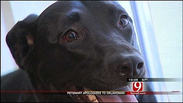 OKC PetSmart Admits Wrongdoing In Apparent Dog Abuse