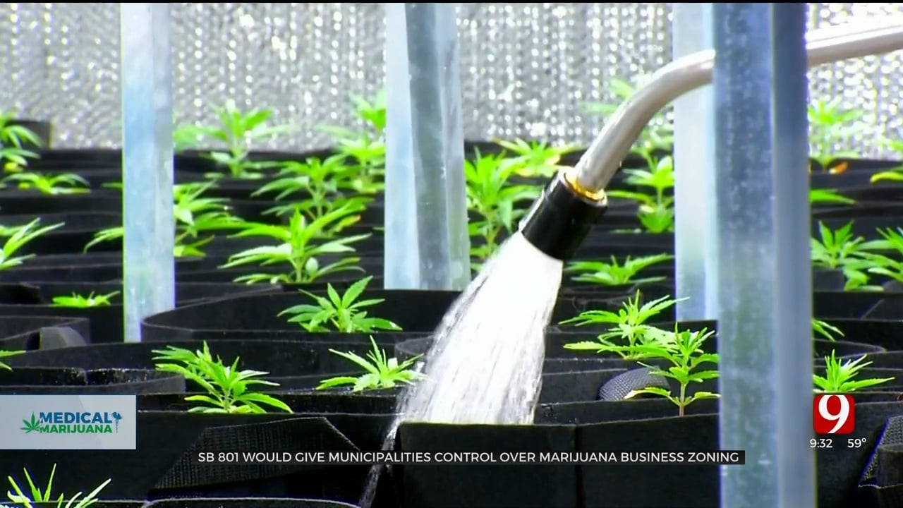 Bill To Transfer Power To Control Marijuana Business Zoning Proposed At State Capitol