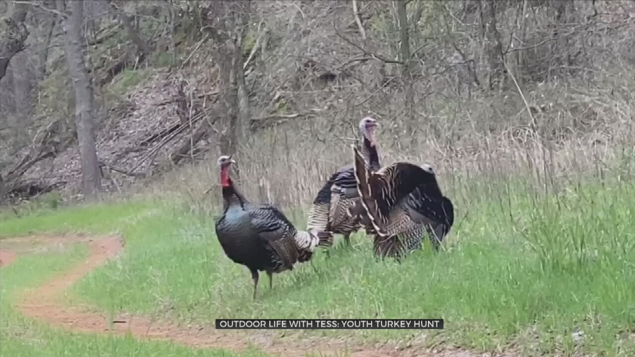 Outdoor Life With Tess Maune: Behind The Camera For A Youth Turkey Hunt