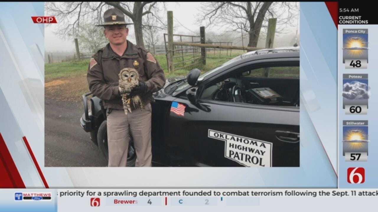 WATCH: OHP Rescues Owl