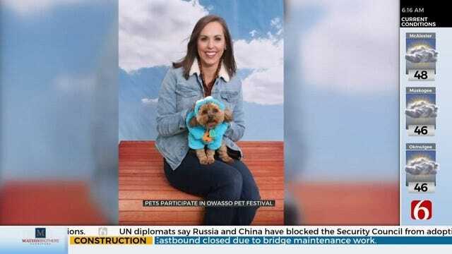 News On 6's Tess Maune & Puppy Cookie Help Judge Owasso Pet Costume Contest
