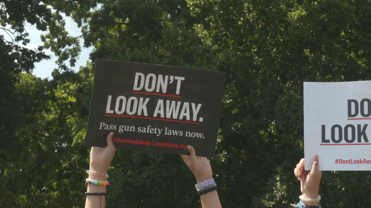 Congress Debates Gun Control Legislation, Advocates Rally At The Capitol